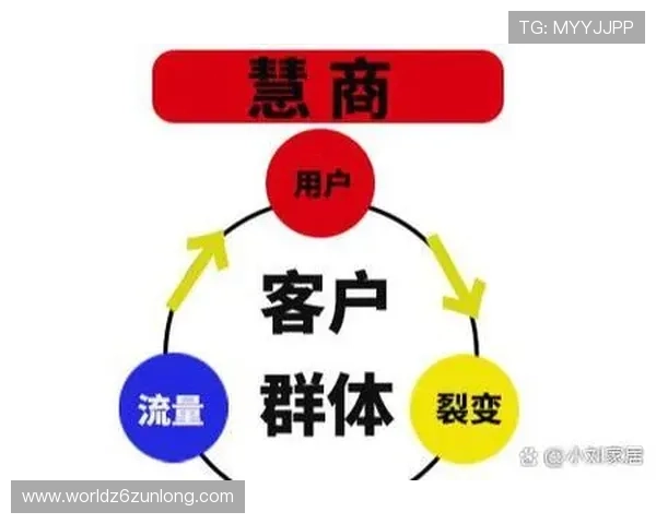 凯时旗舰厅登录线路优化方案，提升登录速度和用户满意度