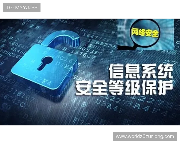 尊龙集团官网入口：官方入口的安全验证措施与用户隐私保护策略