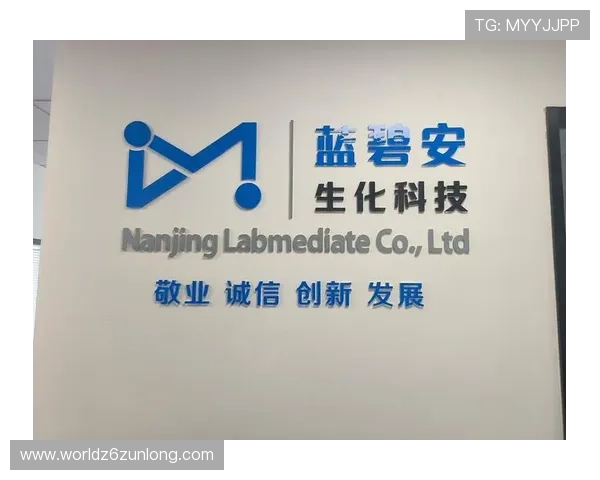 尊龙凯时官方平台下载：官方渠道下载确保账号安全指南