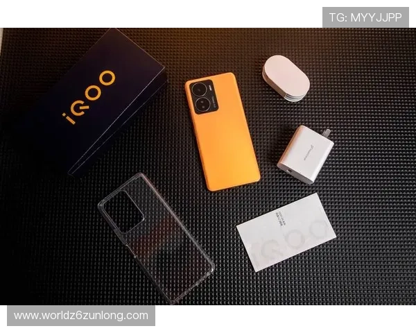 Z6就是博：Z6游戏的未来更新计划与玩家期待的内容展望