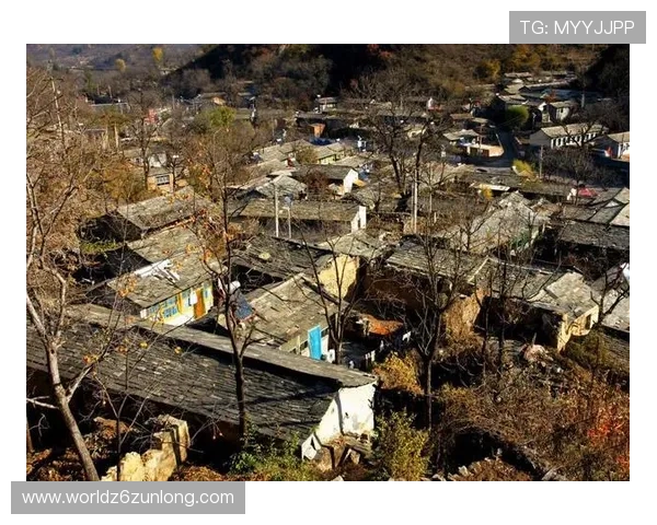 d8娱乐官网安全支付方式全解析保障玩家资金安全的实用技巧