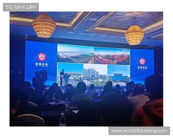 尊龙凯时人生就是搏网页版用户评价与反馈汇总，帮助新手快速上手掌握核心玩法